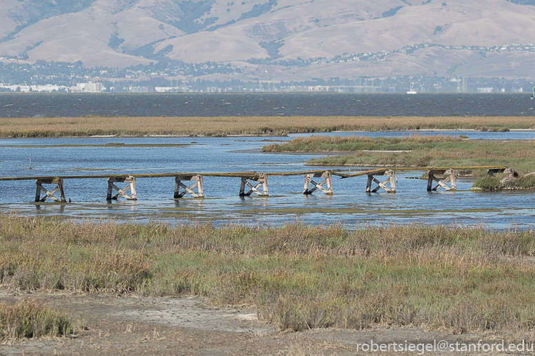 palo alto baylands